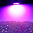 thumbnail image 3 of 220V E27 2835 SMD Rojo + Azul LED Bombilla de crecimiento Lámpara de crecimiento de plantas de interior (B) Ndcxsfigh Nuevos Originales, 3 of 6