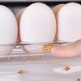thumbnail image 3 of Caja De Huevos De Plástico Caja de almacenamiento de huevos Utensilios de cocina Soporte para contenedores de huevos para la cocina del hogar (Blanco) Wdftyju Libre de BPA, 3 of 4