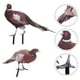 thumbnail image 4 of Estaca de faisán para jardín, decoración de suelo, escultura de faisán realista, estacas acrílicas de animales, 2 uds., 4 of 7