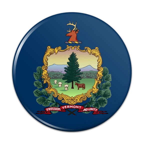 Vermont State Flag Pinback Button Pin
