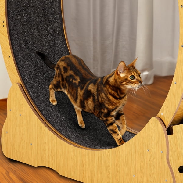 Cat Wheel Exerciser for Indoor Cats, 39.4in Large Cat Exercise Wheel for Running Silent, Cat Treadmill with Safety Lock for Cat's Fitness and Health