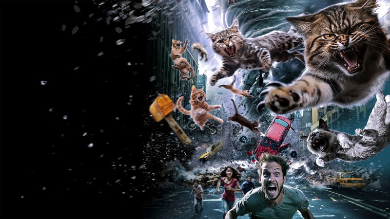 Catnado (DVD) Horror