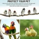 thumbnail image 5 of 2 piezas casco de pollo casco de seguridad para mascotas divertido loro casco pollo pájaro sombrero ropa para la cabeza, 5 of 5