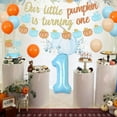 thumbnail image 5 of Little Pumpkin 1st Birthday Decorations for Boy, Blue Pumpkin First Birthday Decorations, Our Little Pumpkin Is Turning One Banner Cake Topper Balloons, Fall Autumn Party Supplies, 5 of 7