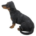 thumbnail image 3 of Hi-Line Gifts 19.5" Crawling Dachshund Outdoor Garden Statue, 3 of 5