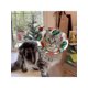 thumbnail image 1 of Cat Recovery Collar, Lightweight Pet Elizabeth Collar Cute Design 2 Different Sizes Measure First, 1 of 4