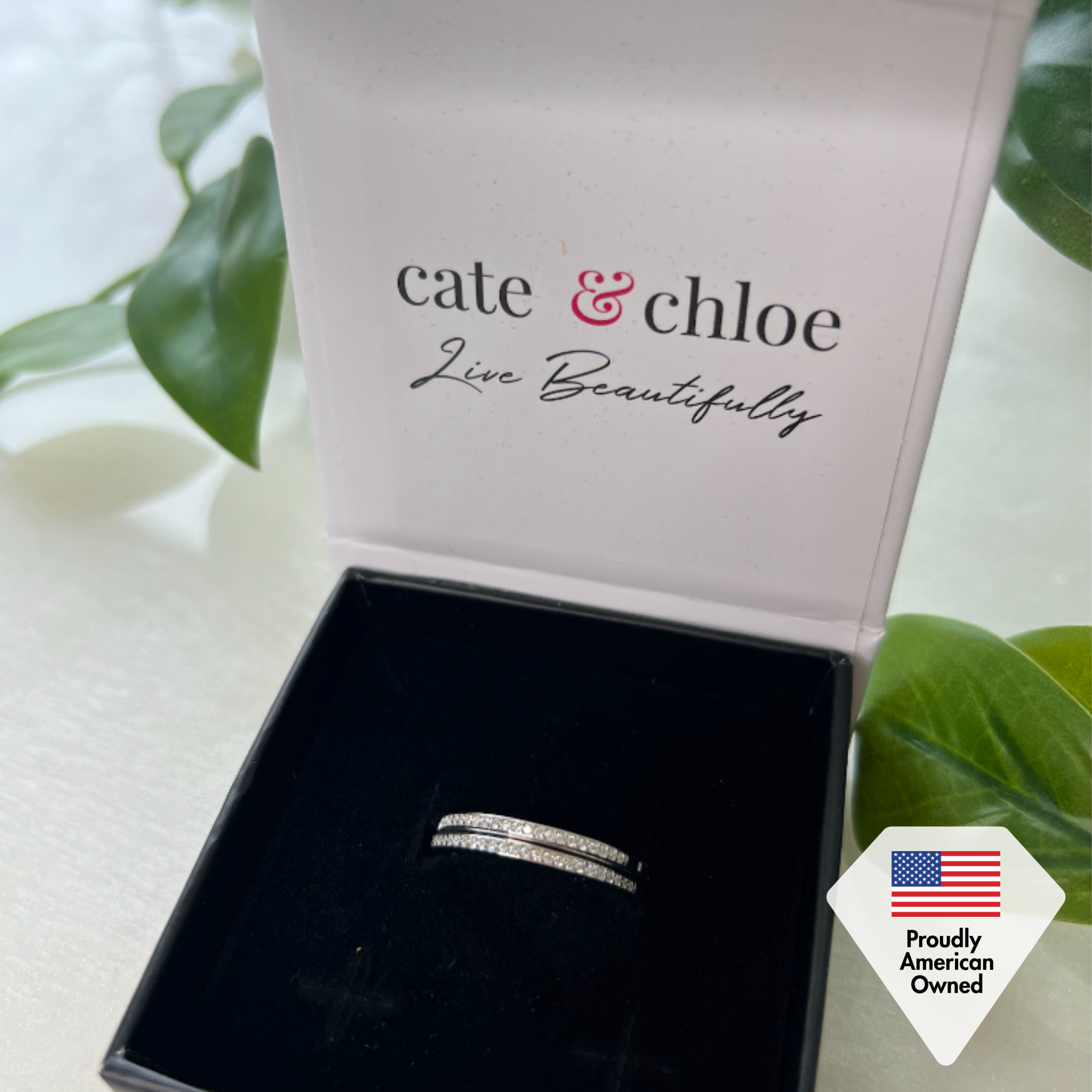 Moissanite by Cate & Chloe Delaney 925 Sterling Silver Hoop Earrings 0.23TCW for Women, Gift for Her