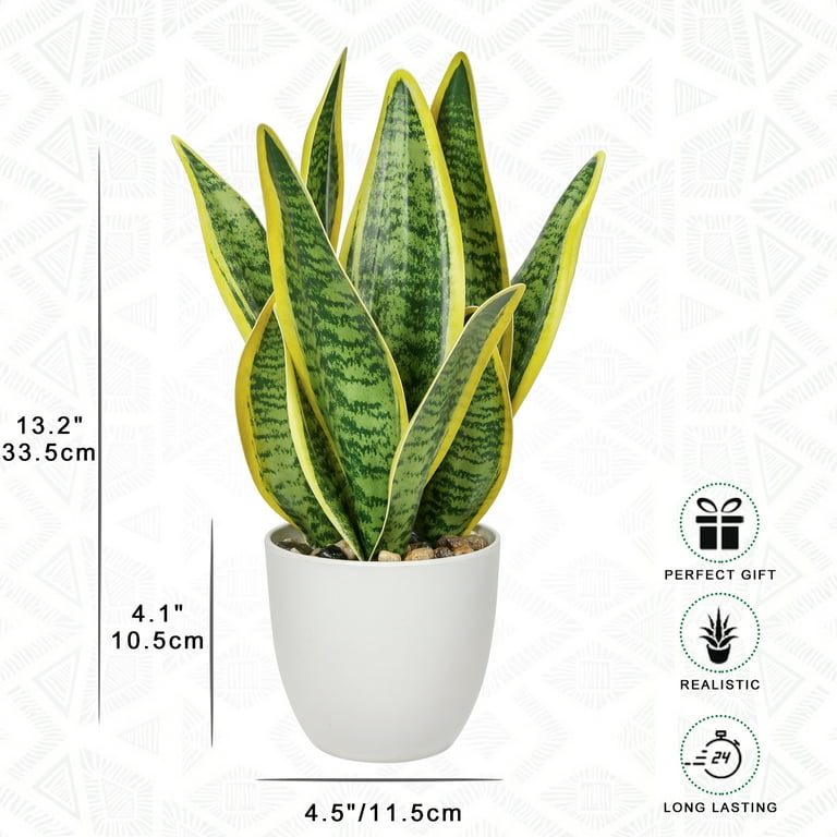 13"" Indoor Artificial Snake Plant, Faux Sansevieria Trifasciata in White  Pot, Tropical Fake Plant for Home Decor" - Walmart.com