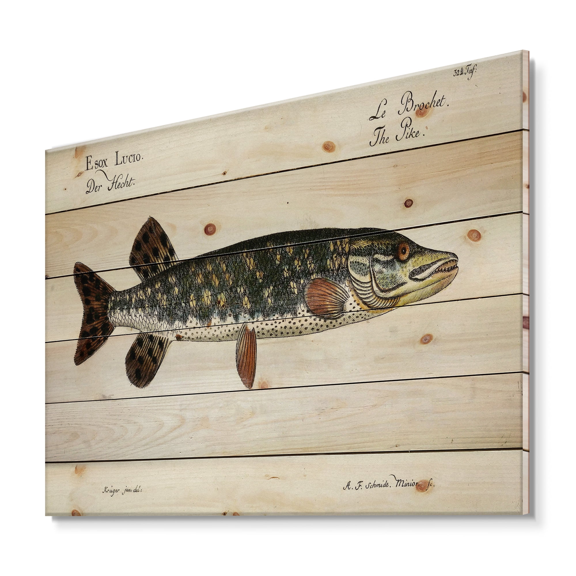 Designart 'Portrait Of A Green Fish On Beige' Nautical & Coastal Print on Natural Pine Wood