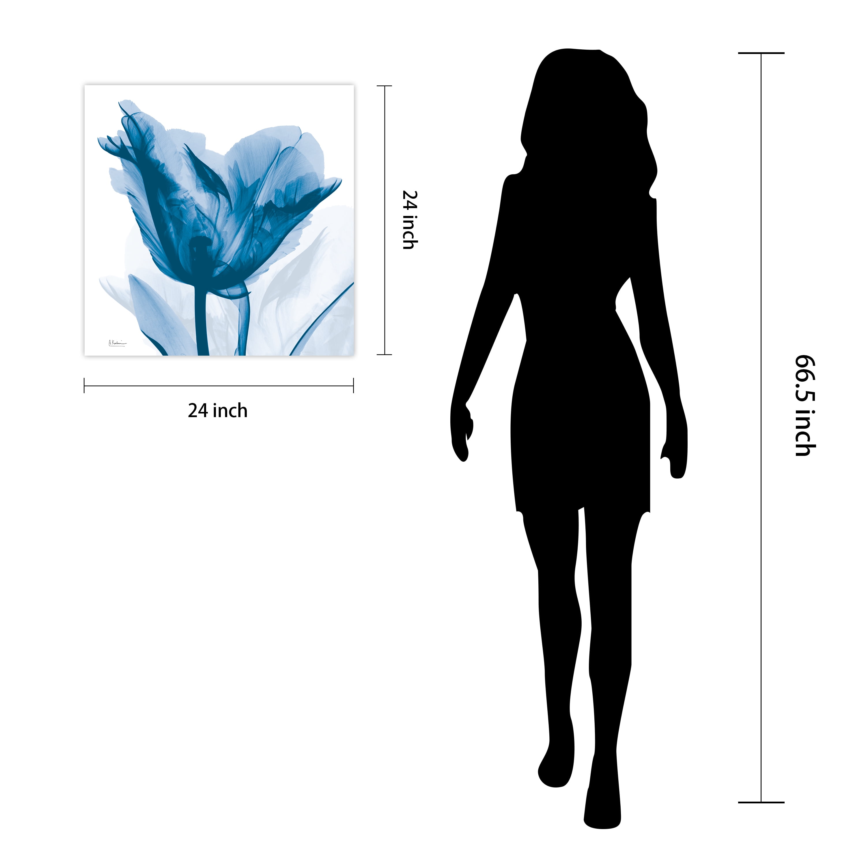 "Lusty Blue Tulip" Frameless Free Floating Reverse Printed Tempered Art Glass Wall Art, 24 in. x 24 in.