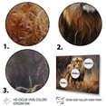 thumbnail image 3 of Designart "Realistic Wilderness The Lion s Domain II" Animals Floater Framed Canvas Art Print, 3 of 7