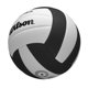 thumbnail image 5 of Voleibol WILSON Pro Tour Indoor, color blanco y negro, talla oficial, 5 of 7