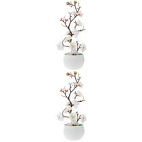 Raindrops  2 Count Silk Hydrangea Artificial Flowers Peonies Potted Plant