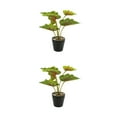 thumbnail image 3 of Yuarrent Plantas artificiales realistas, flores falsas en maceta de tortuga para el hogar, la oficina, el jardín, la decoración de la sala de Type7 NO7, 3 of 6