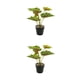 thumbnail image 4 of Planta en maceta Advancent JH5478 hojas artificiales para sala de estar dormitorio, 4 of 6