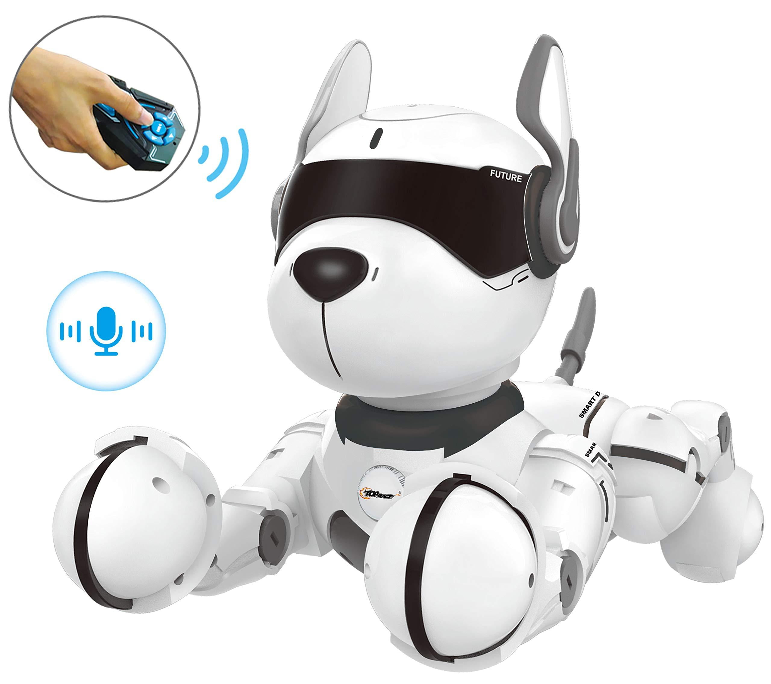 robotic toy for dogs