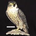 thumbnail image 3 of CafePress - Peregrine Falcon Bird Dark T Shirt - Men's Classic Graphic Cotton T-Shirt, 3 of 4