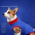 thumbnail image 3 of Angmile Dogs Cats Recovery Shirt for Dog Abdominal Wounds Bandages Cone E-Collar Alternative Anti-Licking Pet Surgical Recovery Snuggly Suit, 3 of 12