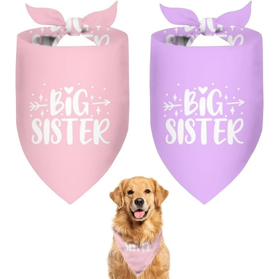 Big Sister Dog Bandana 2 Pack Pet Dog Scarf Baby Announcement Props Pregnancy Announcement Dog Bandana Gender Reveal Dog Outfit Accessories Gift for Dog Lover Owner (Pink,Purple) Large