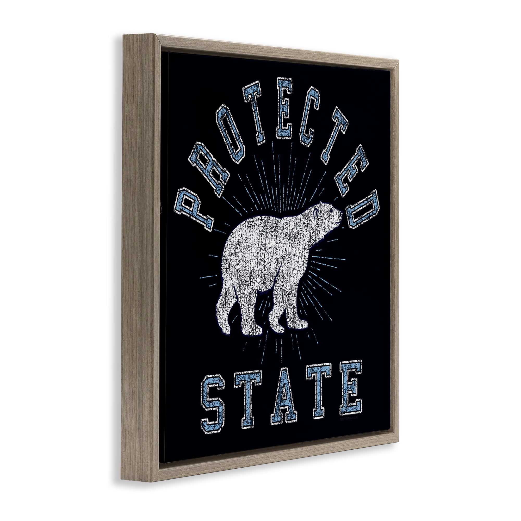 Stupell Industries Polar Bear Protected State Animals Painting Brown Floater Framed Canvas Art Print Wall Art, 18 x 18