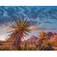thumbnail image 2 of Fitzharris, Tim 32x26 Black Ornate Wood Framed with Double Matting Museum Art Print Titled - Red Rock Canyon National Conservation Area near Las Vegas-Nevada, 2 of 4