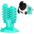 thumbnail image 1 of Juguete indestructible para mascotas Cactus, 1 of 9