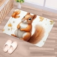 thumbnail image 5 of Squirrel Non-Slip Polyester Bath Rug, Machine Washable Area Rugs for Bathroom and Chair Rug, 5 of 6