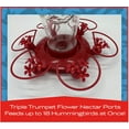 Pennington Outdoor 32 oz Red Triple Trumpet Glass Hummingbird Feeder