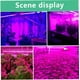 thumbnail image 5 of Barra de luz LED para plantas, luz de crecimiento de plantas de espectro completo, USB impermeable (3 m), 5 of 5