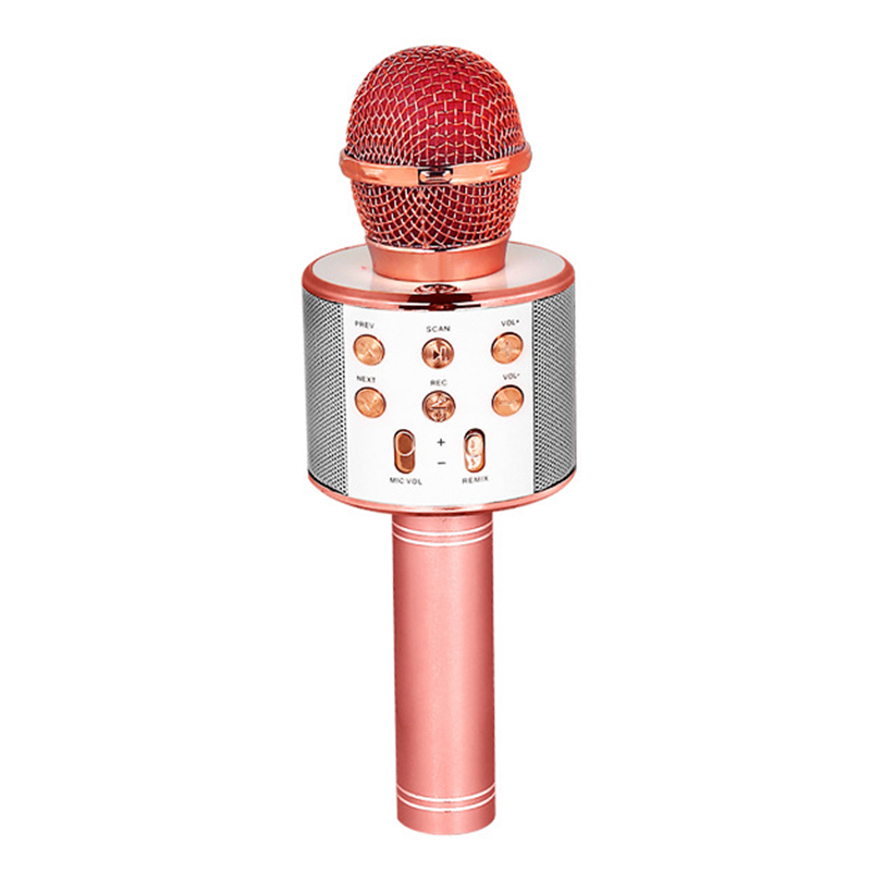 Kdqueery Wireless Microphone for Kids 