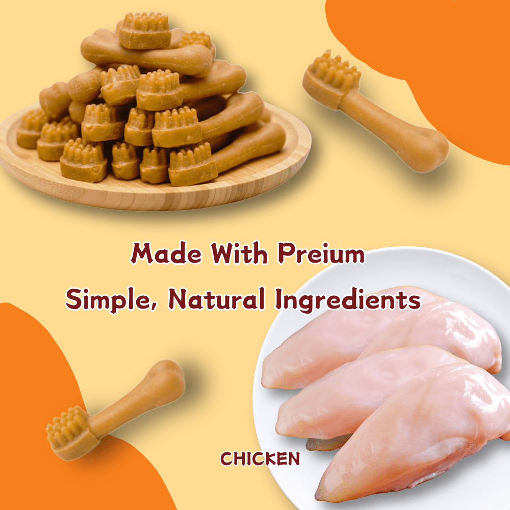 TenderTouch Chicken Flavor Toothbrush Dog Treats, Daily Dental Care Chews,2.56 Pound