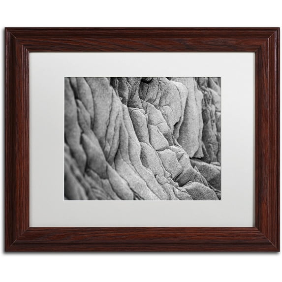 Trademark Fine Art "Lay Low" Canvas Art by Philippe Sainte-Laudy White Matte, Wood Frame