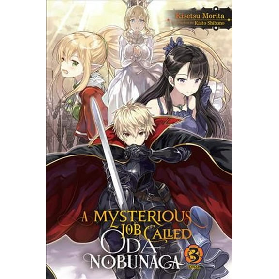 A Mysterious Job Called Oda Nobunaga (light novel): A Mysterious Job Called Oda Nobunaga, Vol. 3 (light novel) (Series #3) (Paperback)