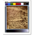 thumbnail image 2 of Historic Framed Print, Dead Confederate soldier, in trenches of Fort Mahone in front of Petersburg, Va., April 3, 1865, 17-7/8" x 21-7/8", 2 of 9