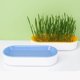thumbnail image 5 of Suministros para mascotas, caja hidropónica para cultivo de gatos, comedero para gatos, cuenco para hierba para gatos, cuenco hidropónico sin tierra para hierba para gatos., 5 of 6
