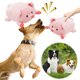thumbnail image 4 of Para Cachorros Juguete Con Chirrido Masticar Pavo Acción Gracias, 4 of 9
