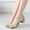 #0040-Gold, variant on Women Latin Dance Shoes Low Heel Ballroom Dance Shoes Ballet Flat Mary Jane Shoes for Women Gift