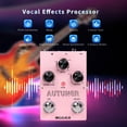 thumbnail image 3 of Pedal de Efectos Vocales MOOER MVP1 Autuner Pitch Reverb Delay, 3 of 7