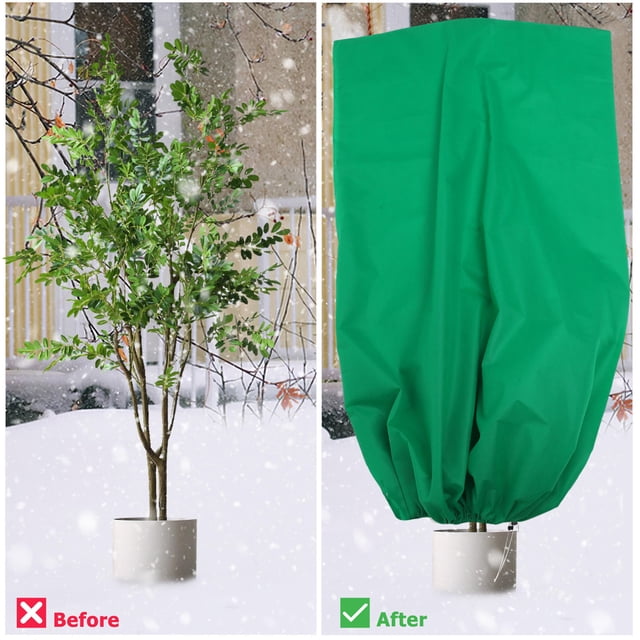unbranded 2Ud Cubierta Para Plantas Y Árboles Con Buena Confección Para Proteger Del Frío