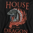 thumbnail image 2 of House of The Dragon, Hod Dragon Illustration Unisex Adult Pull-Over Hoodie, 2 of 6