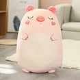 thumbnail image 3 of Juguete blando de 45/80 cm, animal kawaii, dinosaurio gordo, perro Shiba Inu, almohada de peluche, lindo muñeco de conejo, cojín para dormir para niñas, 3 of 5