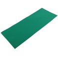 thumbnail image 3 of Flexible Reptile Cushion, Efficient Reptile Carpet Pad, For Reptiles Snakes, 3 of 8