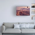 thumbnail image 2 of Trademark Fine Art mihai ian nedelcu flight path Canvas Wall Art, 2 of 4