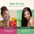 thumbnail image 3 of SVA Lavender Essential Oil – 4 Fl Oz – 100% Natural Lavender Oil - for Diffuser, Hair Care, Face, Skin Care, Aromatherapy, Scalp and Body Massage, Soap and Candle Making – with Dropper, 3 of 8