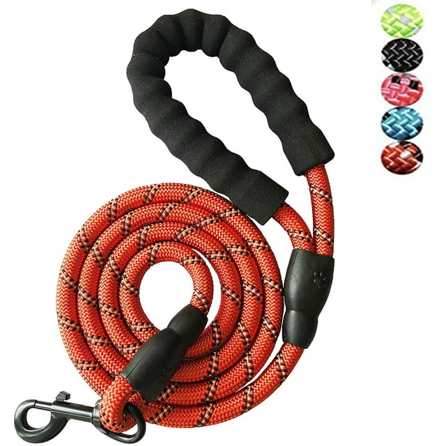 Forte Corde en Laisse de Chien en Nylon avec Poignée Rembourrée Confortable Formation Plomb pour les Chiens de Races Moyennes et Grandes - Résistant 5ft Long (Rouge)