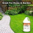 thumbnail image 3 of TradeKing 30% Vinegar The All Natural Alternative Home Cleaner 1 Gallon, 3 of 8