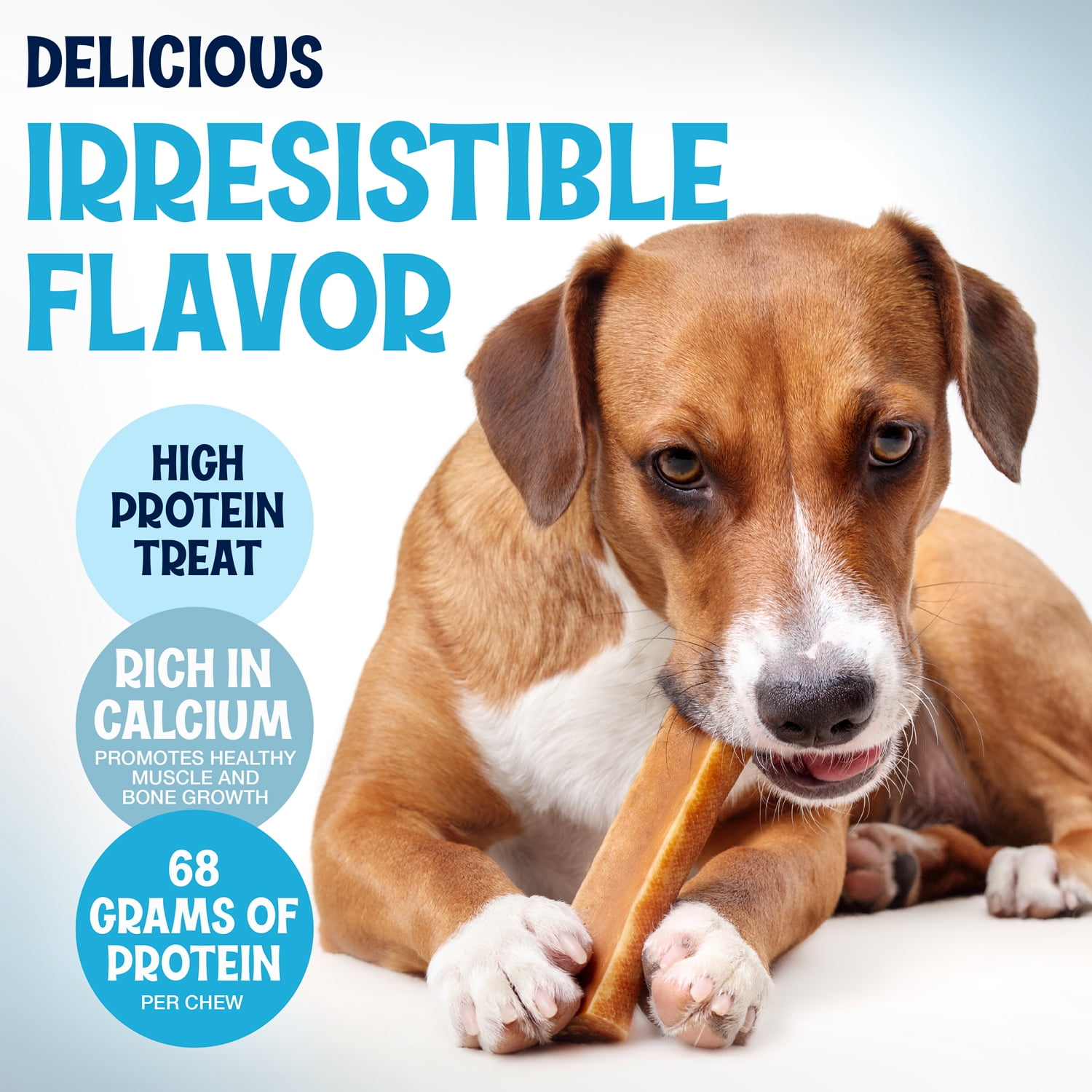 Yak Cheese Himalayan Dog Chews - All Natural Delicious Dog Treat - High Protein Treat for Muscle Development & Energy - Odorless and No GMO - for Medium and Large Dogs – 3 Pounds