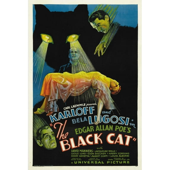 Black Cat Poster 16x24 Poster Medium Art Poster 16x24 Unframed, Age: Adults, Rectangle Best Posters