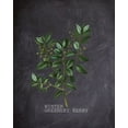 thumbnail image 2 of Kimberly, Allen 20x24 White Modern Wood Framed Museum Art Print Titled - Blackboard Botanical 2, 2 of 4