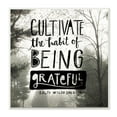 thumbnail image 2 of The Stupell Home Decor Collection Cultivate Being Greatful Foggy Landscape Framed Giclee Texturized Art, 12 x 1.5 x 12, 2 of 2